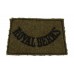 Royal Berkshire Regiment (ROYAL BERKS) Cloth Slip On Shoulder Title
