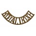 Royal Irish Regiment (ROYAL IRISH) Shoulder Title