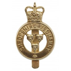 Shropshire Yeomanry Anodised (Staybrite) Cap Badge - Queen's Crown