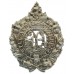 Argyll & Sutherland Highlanders Anodised (Staybrite) Cap Badge 