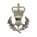 Queen's Own Highlanders Anodised (Staybrite) Sporran Badge - Queen's Crown