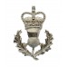 Queen's Own Highlanders Anodised (Staybrite) Sporran Badge - Queen's Crown
