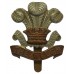 Welch Regiment Cap Badge