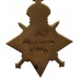 WW1 Campion Brothers Casualty Medal Group