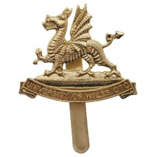 University of Wales O.T.C. Anodised (Staybrite) Cap Badge