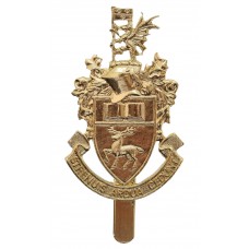 Southampton University O.T.C. Anodised (Staybrite) Cap Badge