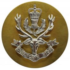 Queen's Own Highlanders Anodised (Staybrite) Cap Badge