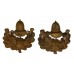 Pair of Cheshire Regiment Bi-Metal Collar Badges