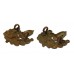 Pair of Cheshire Regiment Bi-Metal Collar Badges