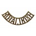 Royal Irish Regiment (ROYAL IRISH) Shoulder Title