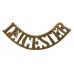 Leicestershire Regiment (LEICESTER) Shoulder Title