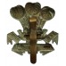 Leinster Regiment Cap Badge