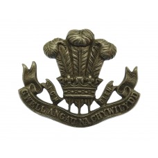 Welsh Regiment Collar Badge