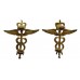 Pair of Royal Air Force (R.A.F.) Medical Branch Officers Collar Badges - Queen's Crown