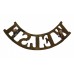 Welsh Regiment (WELSH) Shoulder Title