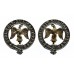 Pair of 3rd Bn. Royal Anglian Regiment Anodised (Staybrite) Collar Badges