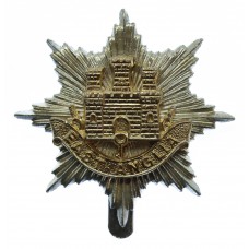 East Anglia Brigade Anodised (Staybrite) Cap Badge