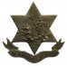 The Barbados Regiment Cap Badge