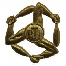 Royal Air Force (R.A.F.) Physical Training Instructor (P.T.I.) Arm Badge 