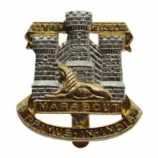 Devonshire & Dorset Regiment Anodised (Staybrite) Cap Badge