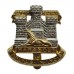 Devonshire & Dorset Regiment Anodised (Staybrite) Cap Badge