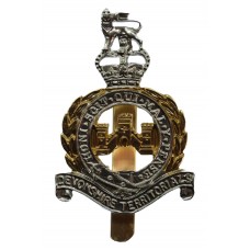 Devonshire Territorials Anodised (Staybrite) Cap Badge