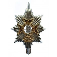 Worcestershire & Sherwood Foresters Anodised (Staybrite) Cap Badge