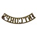 Intelligence Corps (INT. CORPS) Shoulder Title