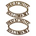 Pair of Parachute Regiment (PARACHUTE/REGIMENT) Shoulder Titles