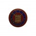Royal Army Ordnance Corps (R.A.O.C.) Association Enamelled Lapel Badge 