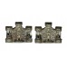 Pair of Exeter City Police Collar Badges
