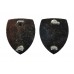 Pair of Cambridgeshire Constabulary Collar Badges