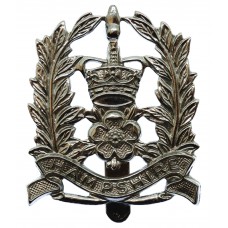 Hampshire Constabulary Constables Cap Badge - Queen's Crown