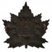 Canadian Fort Garry Horse Cap Badge