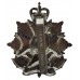 Border Regiment Anodised (Staybrite) Cap Badge - Queen's Crown