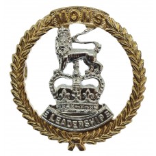 Mons Officer Cadet School Anodised (Staybrite) Cap Badge