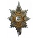 Worcestershire & Sherwood Foresters Anodised (Staybrite) Cap Badge