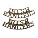 Pair of Royal Irish Rangers (IRISH/RANGERS ) Anodised (Staybrite) Shoulder Titles