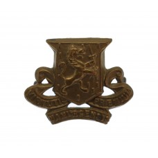 Royal Irish Regiment Collar Badge