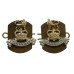 Pair of Royal Army Pay Corps (R.A.P.C.) Anodised (Staybrite) Collar Badges - Queen's Crown