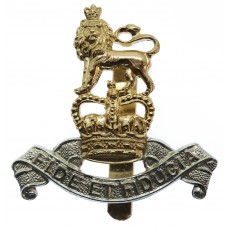 Royal Army Pay Corps (R.A.P.C.) Anodised (Staybrite) Cap Badge - Queen's Crown