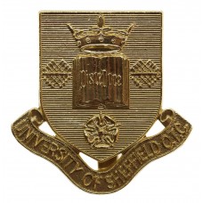 University of Sheffield O.T.C. Anodised (Staybrite) Cap Badge