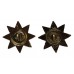 Pair of East Yorkshire Regiment Anodised (Staybrite) Collar Badges (1st Pattern)