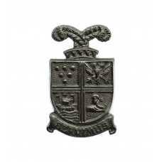 Falmouth Docks Police Collar Badge