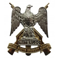 Royal Scots Dragoon Guards Anodised (Staybrite) Cap Badge