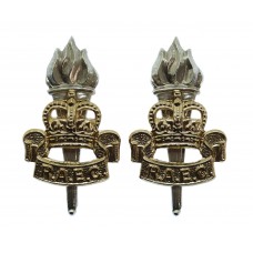 Pair of Royal Army Educational Corps (R.A.E.C.) Anodised (Staybrite) Collar Badges
