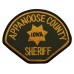 United States Appanoose County Iowa Sheriff Cloth Patch Badge