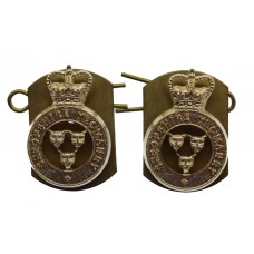 Pair of Shropshire Yeomanry Anodised (Staybrite) Collar Badges - Queen's Crown