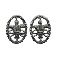 Pair of Cheshire Constabulary Collar Badges