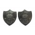 Pair of Burnley Borough Police Chrome Collar Badges